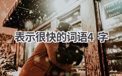 表示很快的词语4字