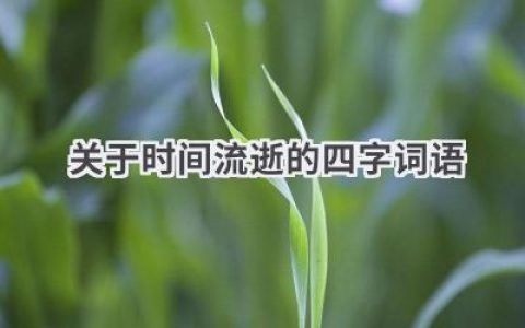关于时间流逝的四字词语