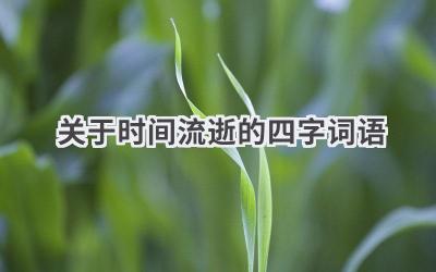关于时间流逝的四字词语