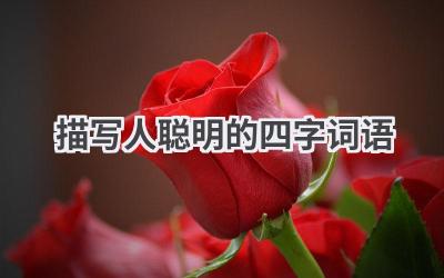 描写人聪明的四字词语