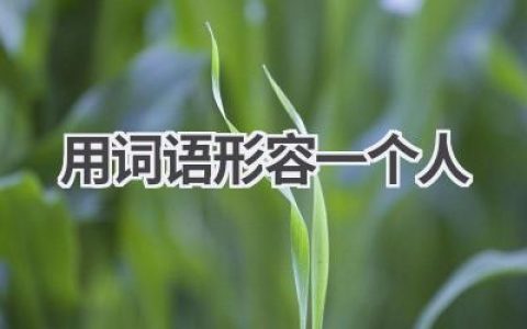 用词语形容一个人