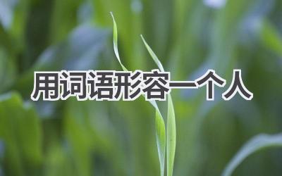 用词语形容一个人