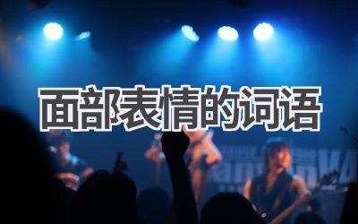 面部表情的词语