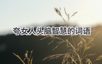 夸女人头脑智慧的词语
