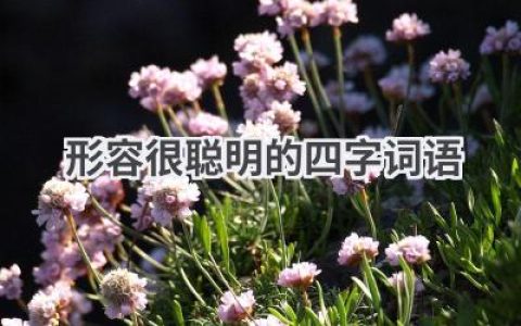 形容很聪明的四字词语