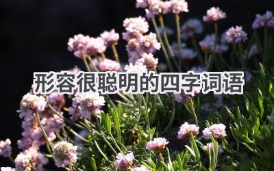 形容很聪明的四字词语