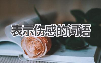 表示伤感的词语