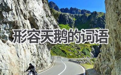 形容天鹅的词语