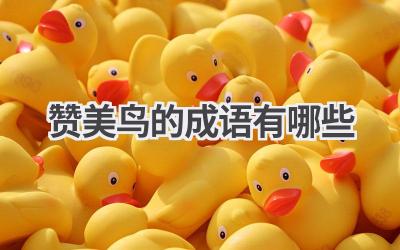 赞美鸟的成语有哪些