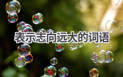 表示志向远大的词语