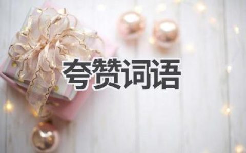 夸赞词语