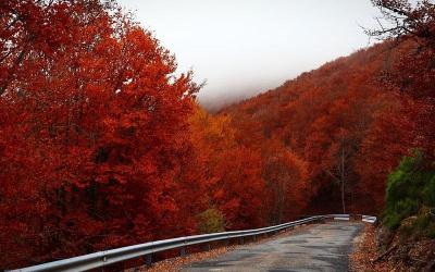 形容海岛的词语
