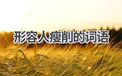 形容人瘦削的词语