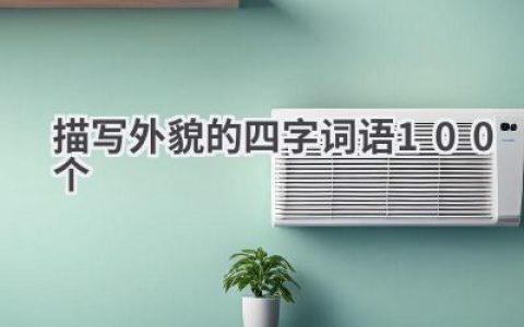 描写外貌的四字词语100个