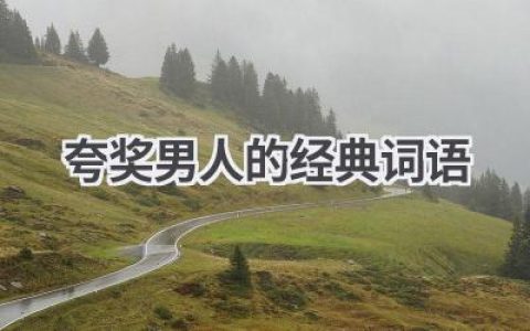 夸奖男人的经典词语