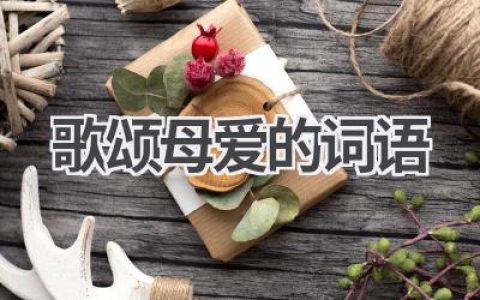 歌颂母爱的词语