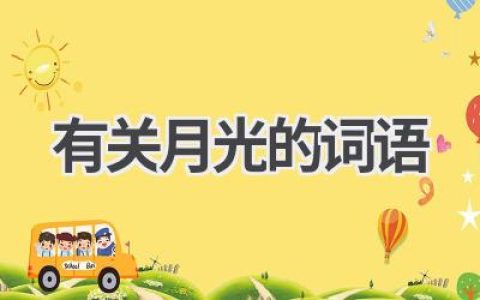 有关月光的词语