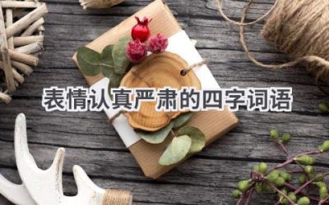 表情认真严肃的四字词语