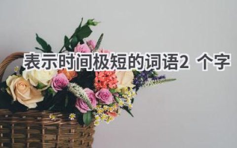 表示时间极短的词语2个字