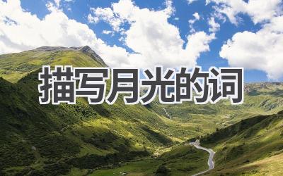 描写月光的词