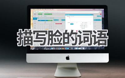 描写脸的词语
