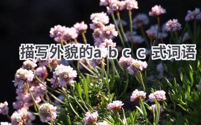 描写外貌的abcc式词语