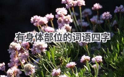 有身体部位的词语四字