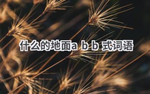 什么的地面abb式词语