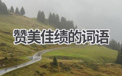 赞美佳绩的词语