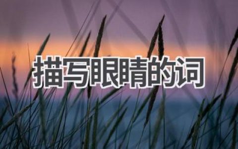 描写眼睛的词