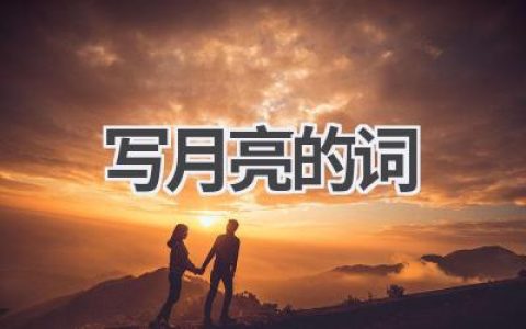 写月亮的词