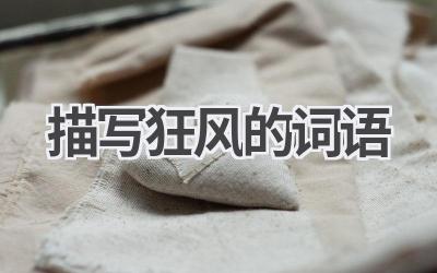 描写狂风的词语