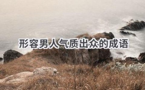 形容男人气质出众的成语