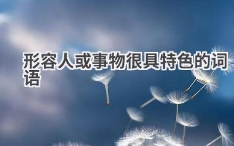 形容人或事物很具特色的词语