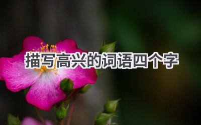 描写高兴的词语四个字