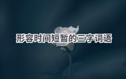 形容时间短暂的三字词语