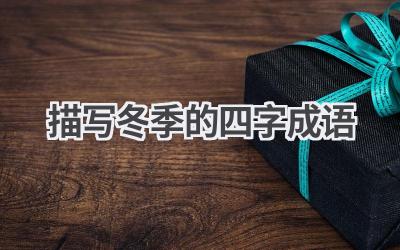 描写冬季的四字成语