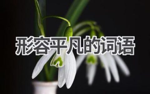 形容平凡的词语