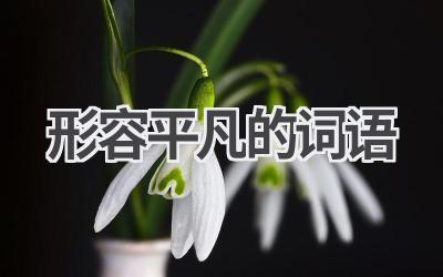 形容平凡的词语