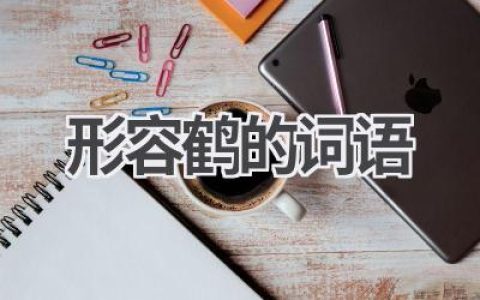 形容鹤的词语