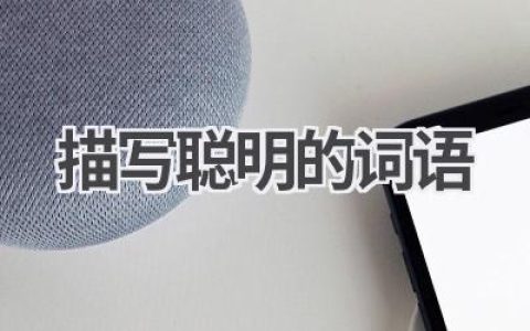描写聪明的词语