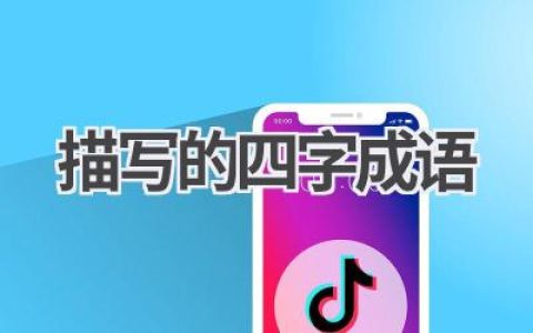 描写的四字成语