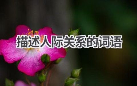 描述人际关系的词语