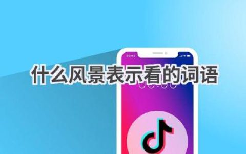 什么风景表示看的词语