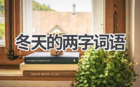 冬天的两字词语