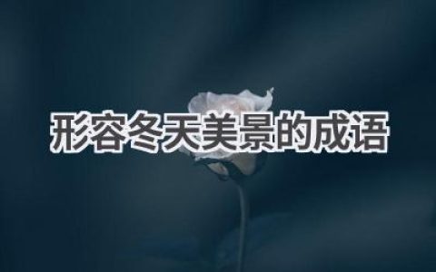 形容冬天美景的成语