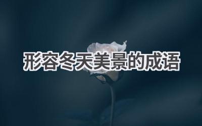 形容冬天美景的成语