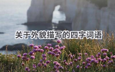 关于外貌描写的四字词语
