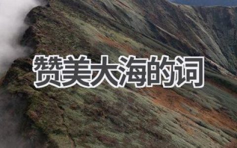 赞美大海的词