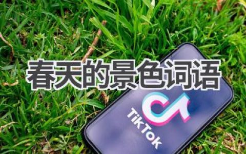 春天的景色词语